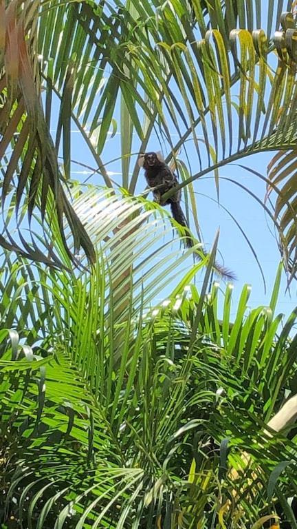 Terra Bahia Holiday home Aracaju